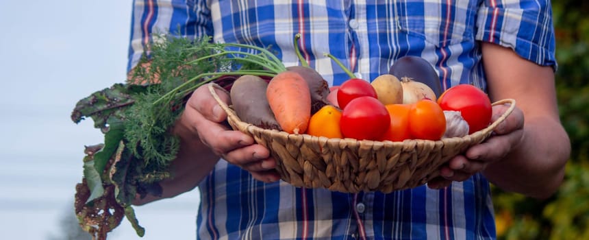 male farmer holding a basket with vegetables on the background of nature.