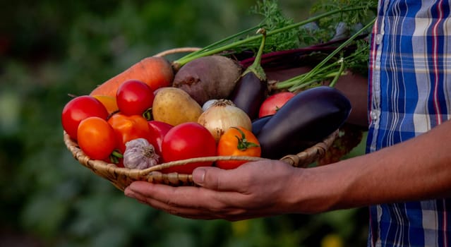 male farmer holding a basket with vegetables on the background of nature.
