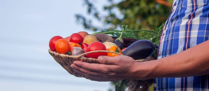 male farmer holding a basket with vegetables on the background of nature.