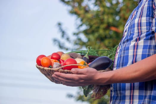 male farmer holding a basket with vegetables on the background of nature.