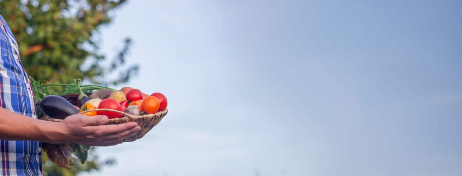 male farmer holding a basket with vegetables on the background of nature.