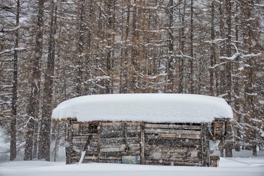 mountain wooden hut covered by snow