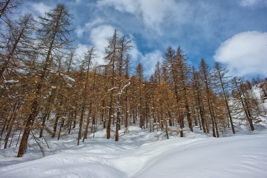 mountain landscape panorama on sunny winter day