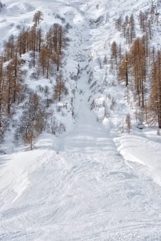 big avalanche in alps mountains