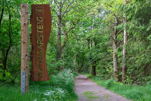 ROTHAARSTEIG, GERMANY - JUNE 8, 2023: Panoramic landscape image, beautiful scenery along the long distance hiking trail Rothaarsteig on June 8, 2023 in Hesse, Germany 