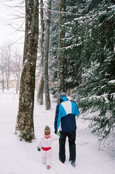 Dad and little girl walk through the snowy forest, holding hands under the snowfall. High quality photo