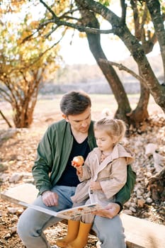Little girl with an apple looks at a book in her dad hands while sitting on his lap on a bench on a farm. High quality photo