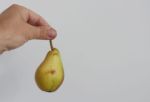 A man's hand holds a slightly spoiled yellow pear on a white background.....