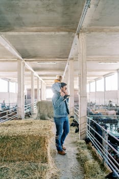 Dad with a little girl on his shoulders stands at the fence of the pen and looks at the goats. Side view. High quality photo