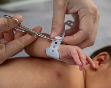 A woman cuts a tag from a newborn boy's hand with nail scissors. Close-up of hands