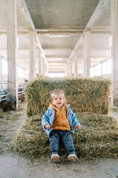 Little smiling girl sitting on a haystack at the farm. High quality photo