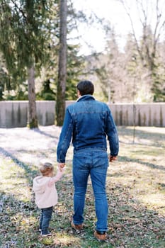 Dad and a little girl are walking along a flowering meadow in a sunny park. Back view. High quality photo