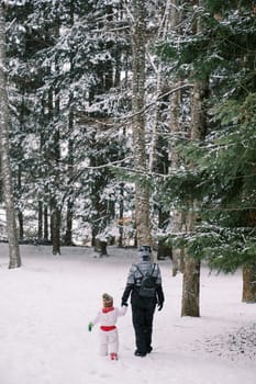 Mother and a little girl walk holding hands through the snowdrifts in a snowy pine forest. Back view. High quality photo