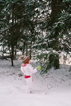 Little girl stands by a snow-covered fir tree and looks at it. Back view. High quality photo