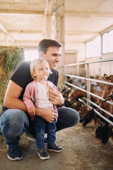 Dad squatted hugging a little girl in front of a corral with goat kids. High quality photo