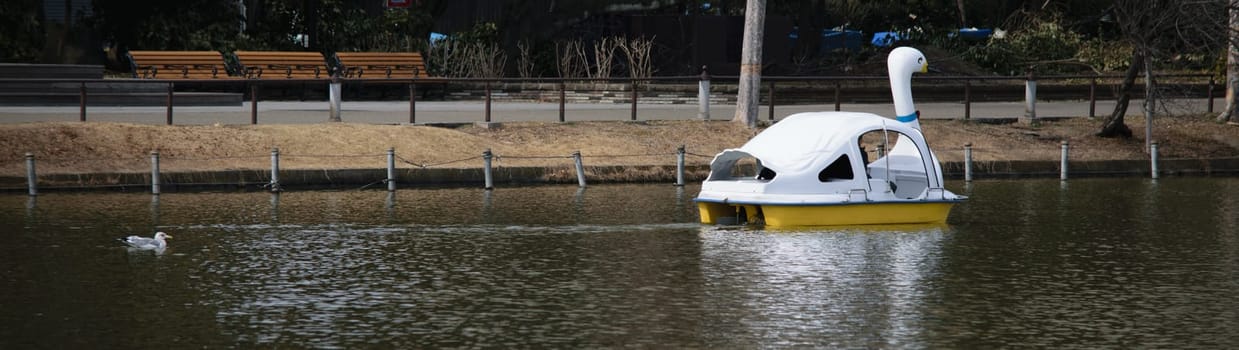 Swan-shaped pedal boat floating on a tranquil lake with trees and a walking path in the background.