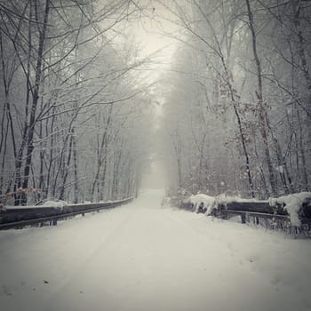 Snowy road with trees. Dangerous driving in the snow in winter. Concept for traffic and bad weather.