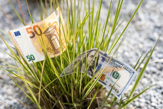 Money growing in the middle of green grass.