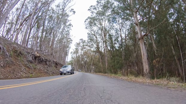 Santa Maria, California, USA-December 6, 2022-In this serene winter scene, a vehicle carefully makes its way along Los Osos Valley Road and Pecho Valley Road within Montana de Oro State Park.