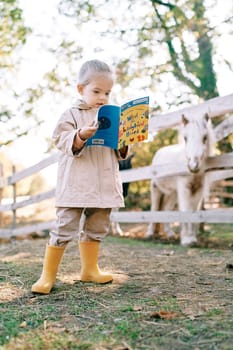 Little girl reads a book of fairy tales to a pony standing behind a fence on a ranch. High quality photo