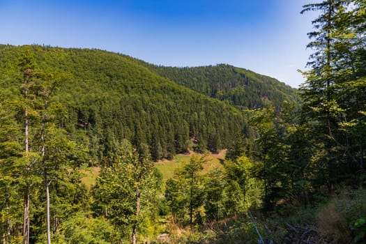 Beautiful green yellow and blue landscape of layers of hills and mountains full of high and green trees