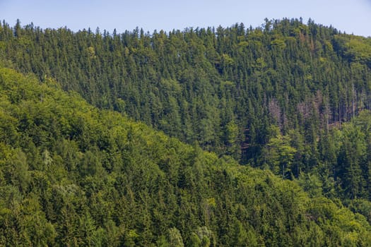 Beautiful green yellow and blue landscape of layers of hills and mountains full of high and green trees