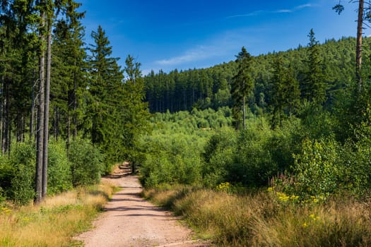 Beautiful green yellow and blue landscape in mountains seen from long and steep mountain trail