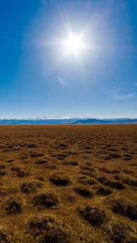 field covered with dry grass bumps with distant high mountains on the horizon, wide angle surface level view