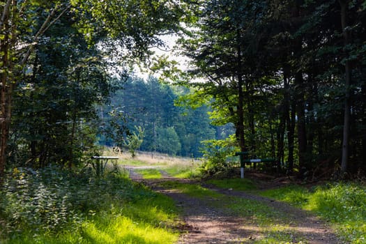 Beautiful natural gate at mountain trail created naturally by trees and bushes around