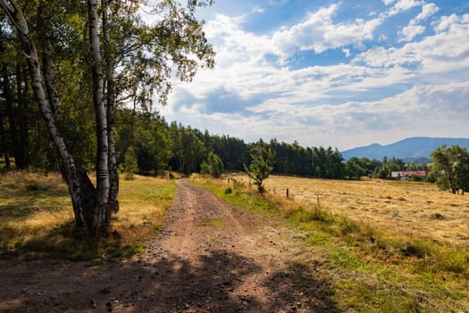 Beautiful landscape of glades and clearing full of fields and trees between it at mountains at sunny cloudy day