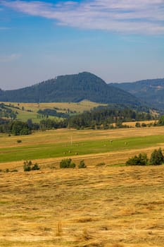 Beautiful landscape of glades and clearing full of fields and trees between it at mountains at sunny cloudy day