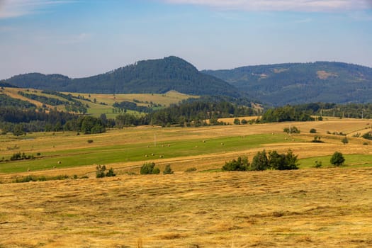 Beautiful landscape of glades and clearing full of fields and trees between it at mountains at sunny cloudy day