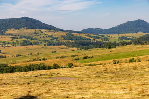 Beautiful landscape of glades and clearing full of fields and trees between it at mountains at sunny cloudy day