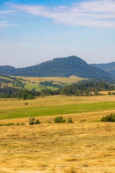 Beautiful landscape of glades and clearing full of fields and trees between it at mountains at sunny cloudy day