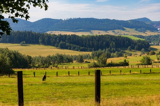 Beautiful landscape of glades and clearing full of fields and trees between it at mountains at sunny cloudy day