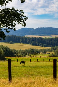 Beautiful landscape of glades and clearing full of fields and trees between it at mountains at sunny cloudy day