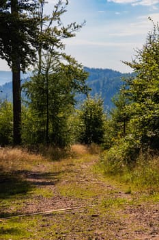 Beautiful green yellow and blue landscape in mountains seen from long and steep mountain trail