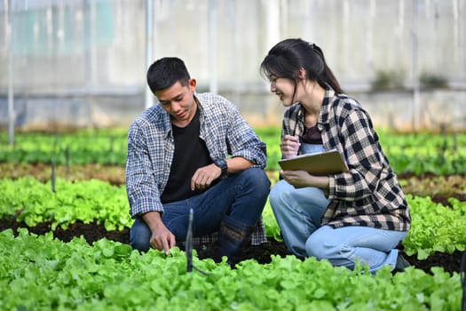 Two agronomists inspect plant disease and insects in organic farm. Agribusiness concept