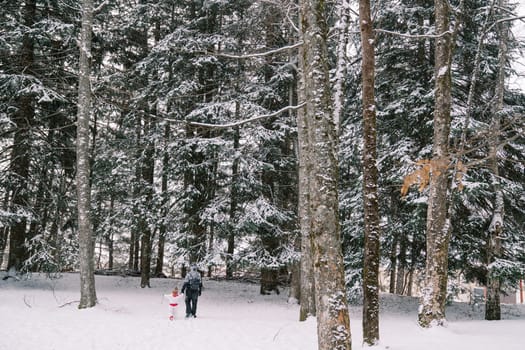 Mom and a little child walk holding hands in a snowy spruce forest. Back view. High quality photo