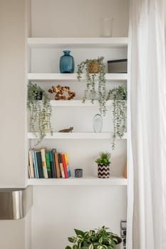 White bookshelves with houseplants and decorative items in living room. Simple book rack on wall in renovated apartment. Chill-out corner