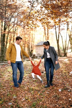 Little girl dangles her legs holding hands with her dad and mom walking in the autumn forest. High quality photo
