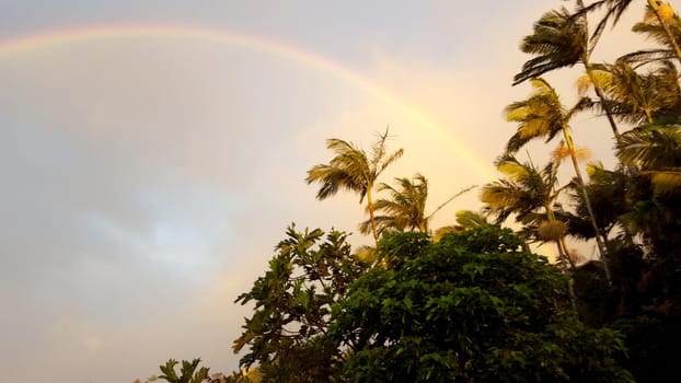 A stunning photo of a full rainbow arching over the green mountains in Oahu, Hawaii. The photo captures the natural beauty of the island with its blue sky, white clouds, palm trees and tropical foliage.