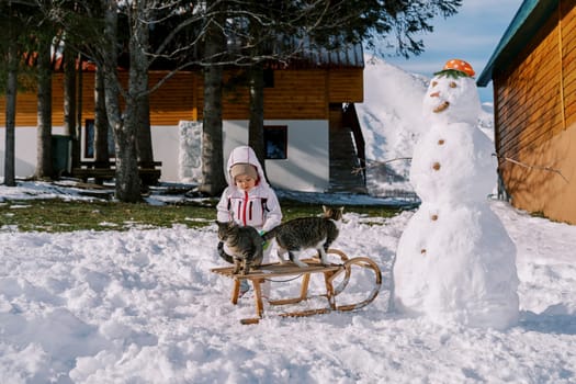 Little girl looks at the cats sitting on a sled near a snowman in the yard. High quality photo