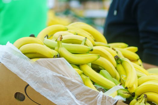 Fresh yellow bananas in close-up on the shelves of a hypermarket.