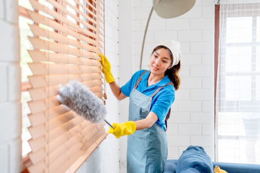 Pretty Asian housekeeper or housemaid use feather duster to clean curtain or shade of windows in living room of the house and she look happy during working.