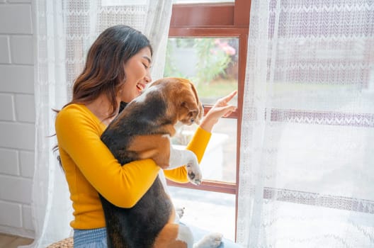 Young Asian woman hold and hug beagle dog also point outside through glass windows to relax and fun with her pet in the house.