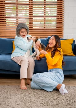 Vertical image of Asian senior and young woman enjoy to play fun with beagle dog on sofa in living room of their house with happiness.