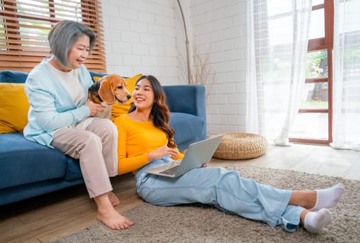 Side view of young Asian girl work with laptop and sit near senior woman as mother enjoy with beagle dog on sofa of their house.