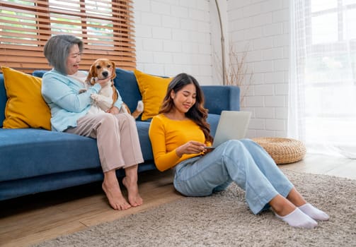 Young Asian girl work with laptop and sit near senior woman as mother enjoy with beagle dog on sofa of their house.