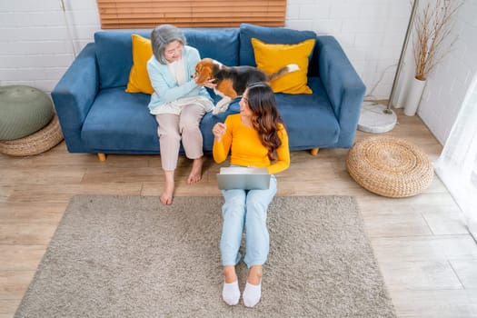 Top view of young Asian girl work with laptop and sit near senior woman as mother enjoy with beagle dog on sofa of their house.